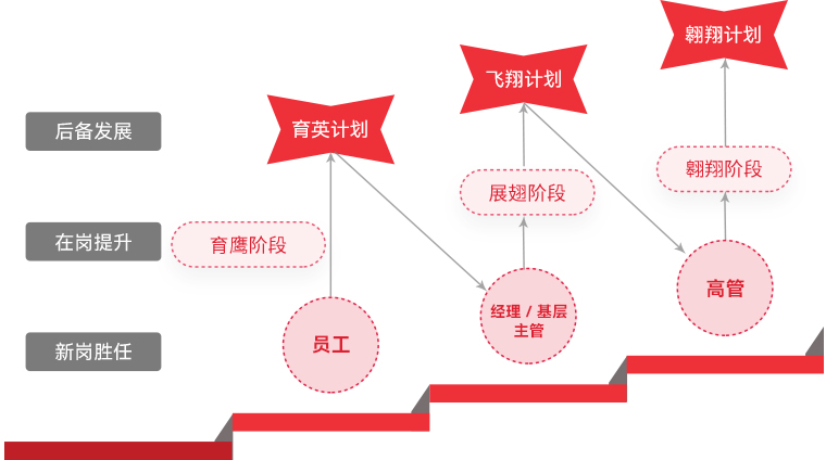 今年会·(jinnianhui)金字招牌 "雄鹰计划"人才梯队培养
